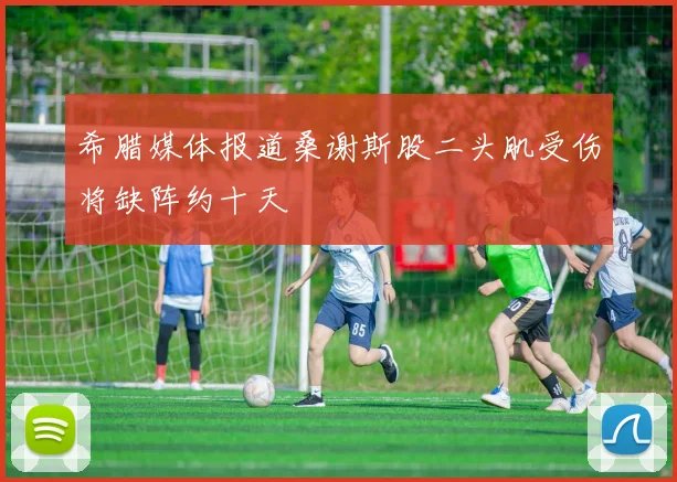 希腊媒体报道桑谢斯股二头肌受伤将缺阵约十天